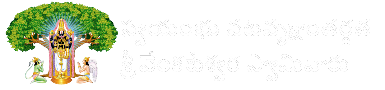 స్వయంభు వటవృక్షాంతర్గత శ్రీ వేంకటేశ్వర స్వామివారు
